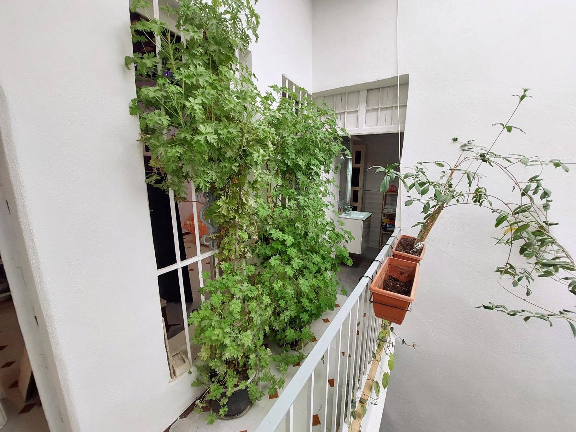 Casa Madre Gelart Patrimonio Gaditano Del Siglo XIX San Fernando Exterior foto